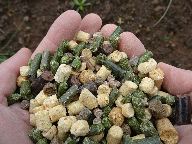Alimentation Animale Haute-Loire