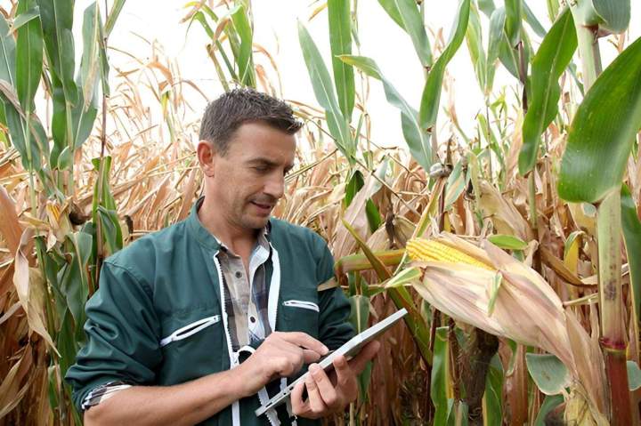 Production d'aliments adaptés pour tous vos cheptels