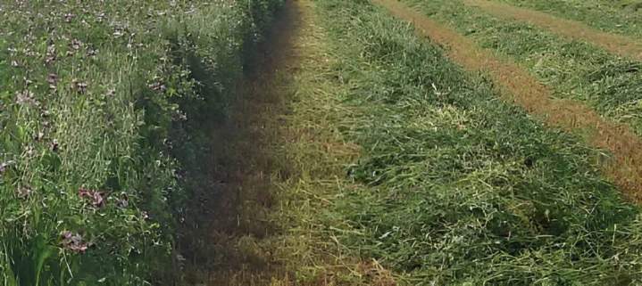  production aliments bétail Haute-Loire