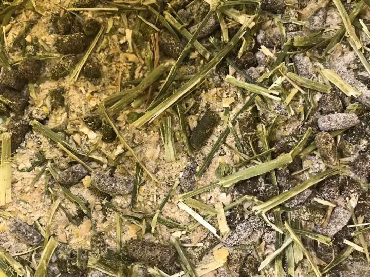 Aliment mash Haute-Loire