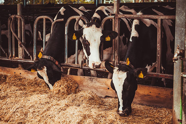 Coproduits alimentaires de qualité Ardèche