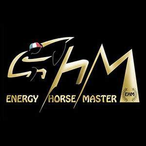 Logo Energy horse master
