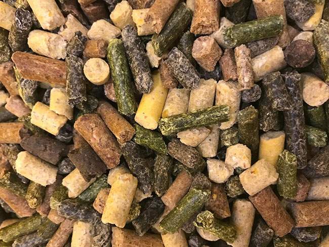 Fabrication d’alimentation animale Haute-Loire