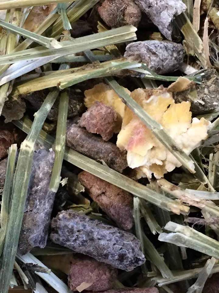 Fabrication d’alimentation animale Haute-Loire