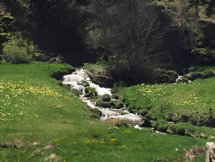 Paysage printanier Haute-Loire