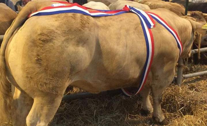 Fabrication d’alimentation animale Haute-Loire
