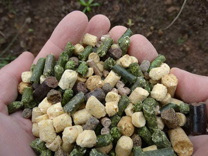 Fournisseur de céréales alimentaires Haute-Loire