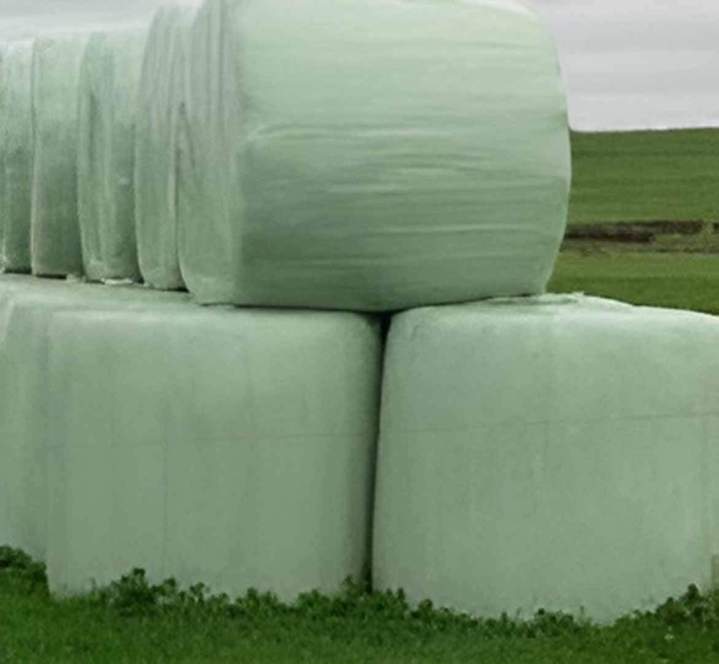 Balles d'ensilage rondes Haute-Loire