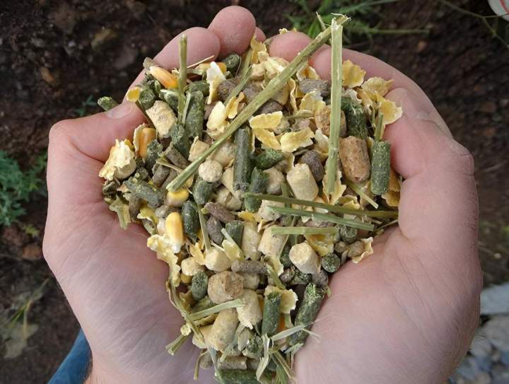 Alimentation Animale Haute-Loire