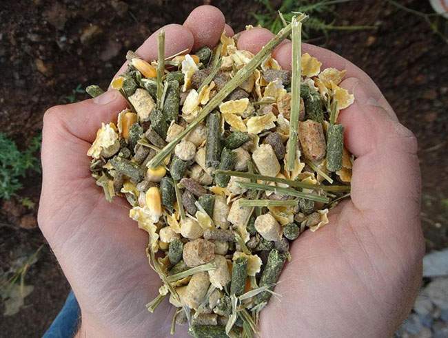 Alimentation Animale Haute-Loire